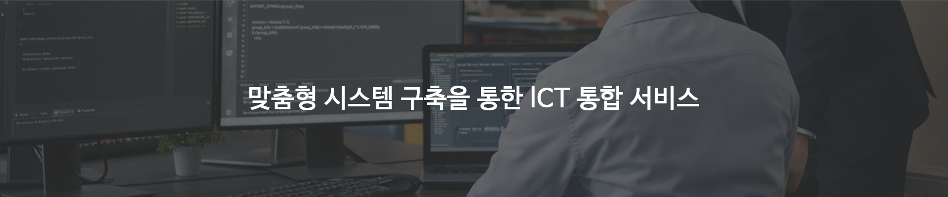 SI개발 소개