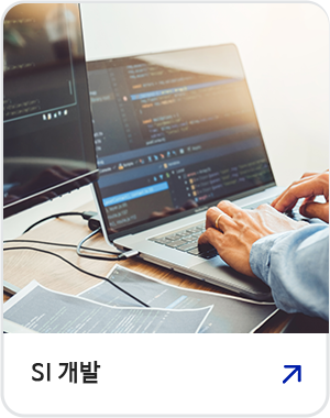 SI 개발